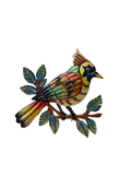 Rainbow Crest Songbird