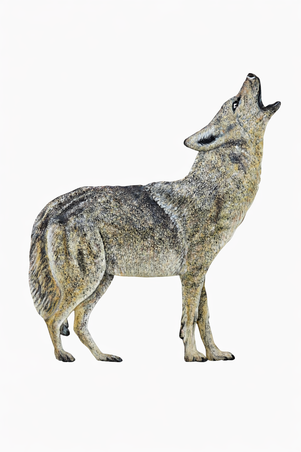 Mooncall Ridge Coyote