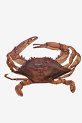 Crab