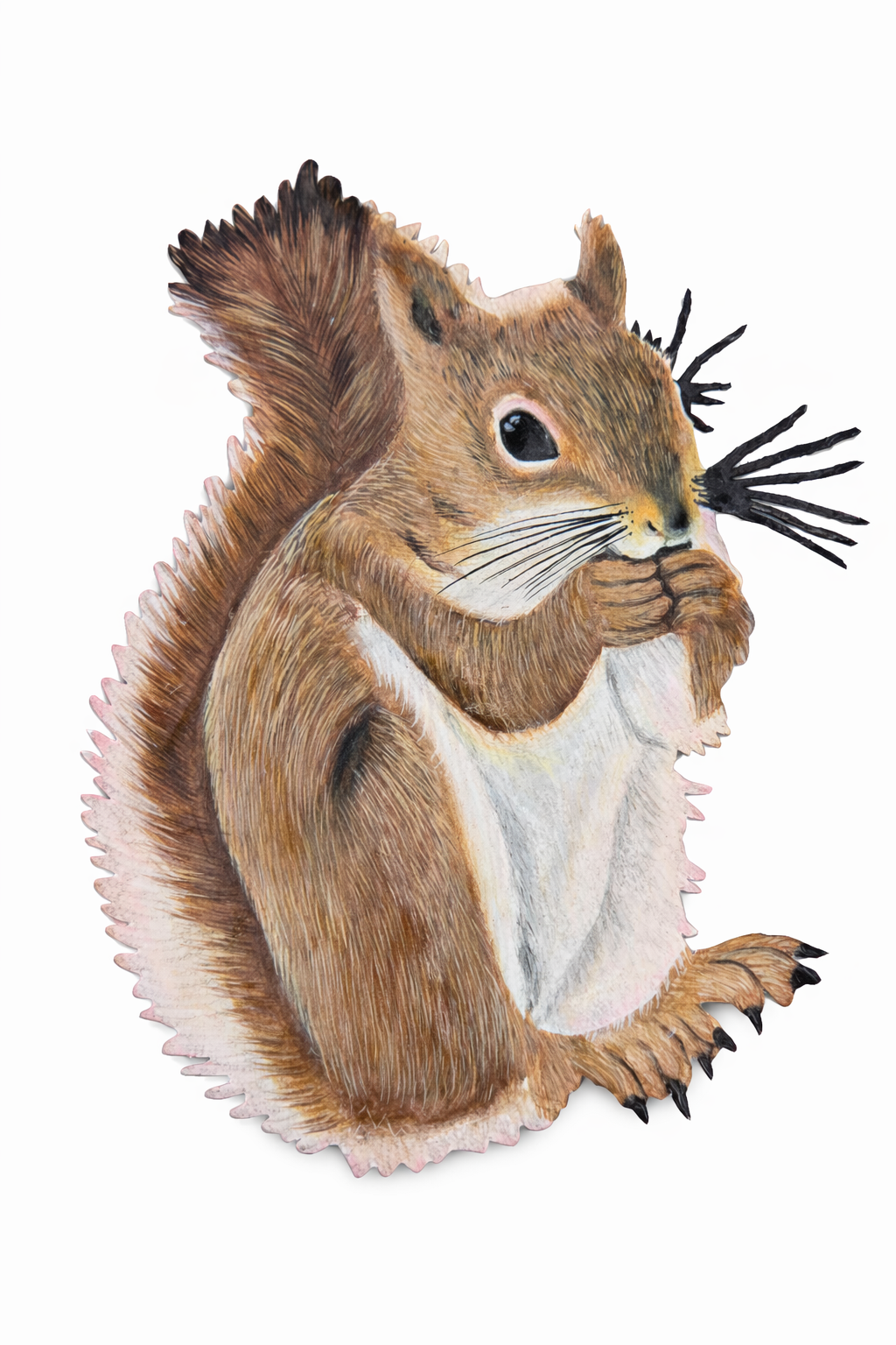 Whispernut the Squirrel