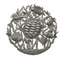 Unpainted Turtle and Friends