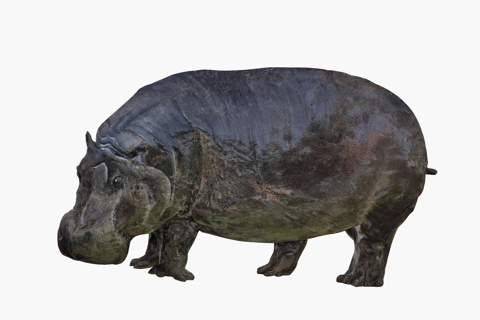 Stonewater Hippo Guardian