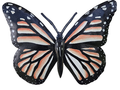 Sunset Monarch Butterfly