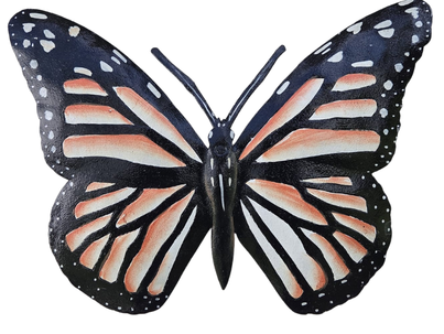 Sunset Monarch Butterfly